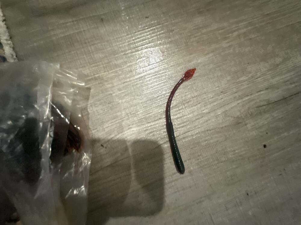 Lot of Mann’s jelly worm Lures 5.5 Inch